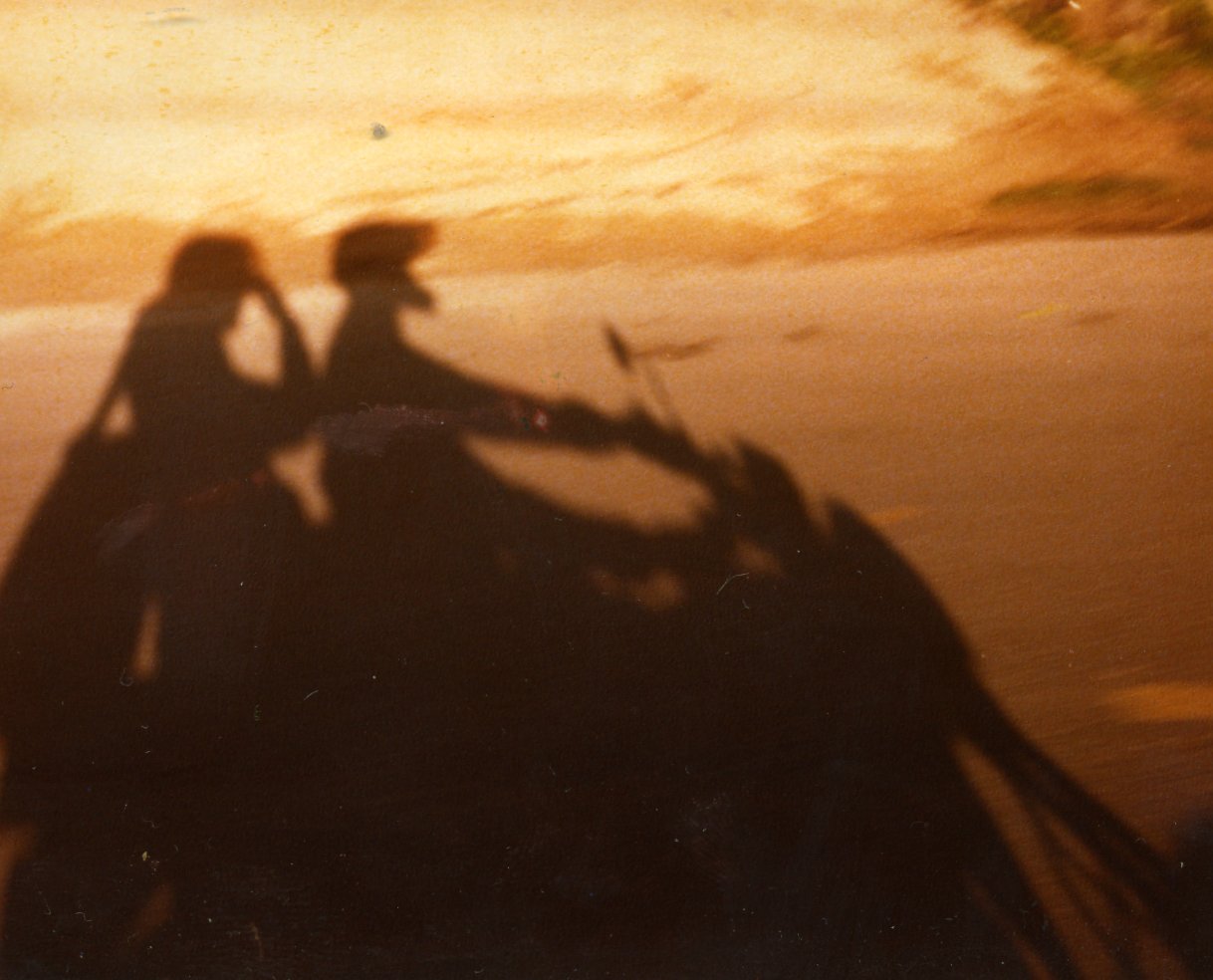 My favourite PHOTO.JPG