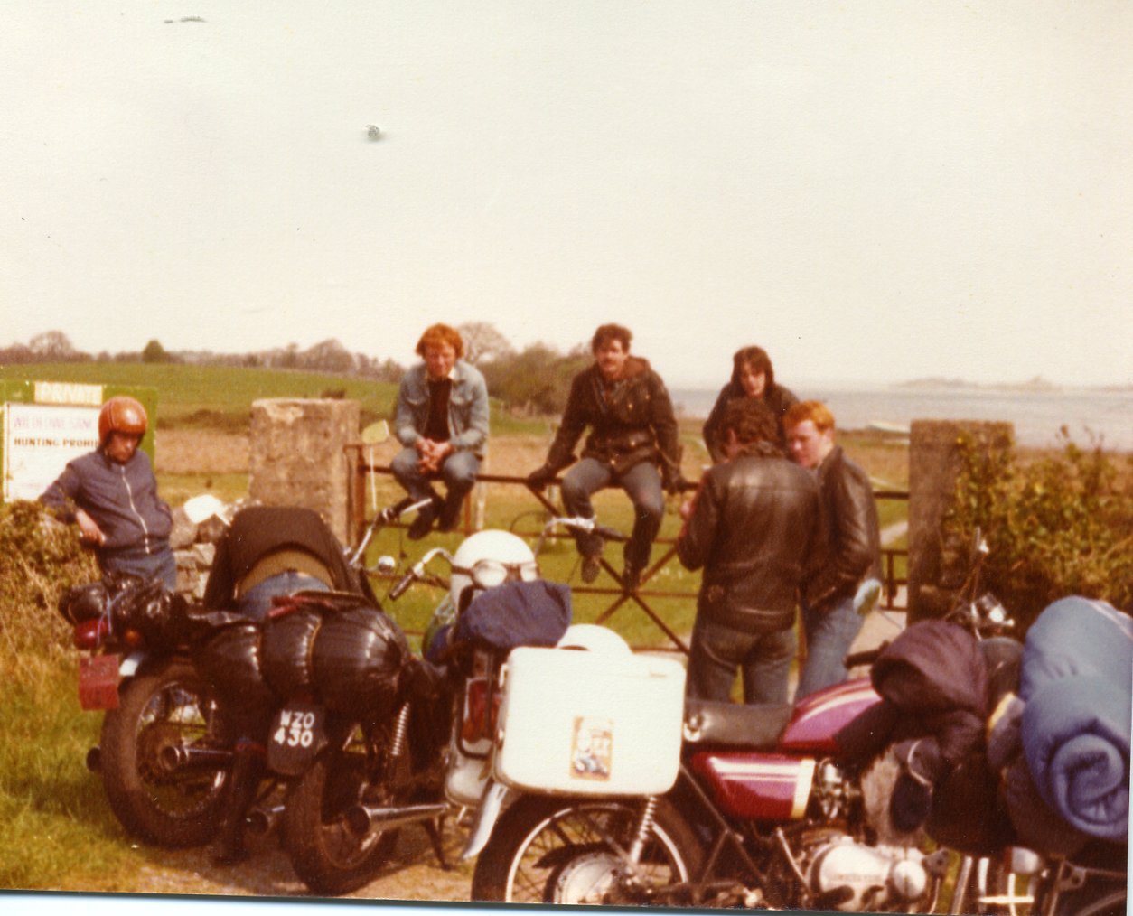 Some of the lads on the fence.JPG
