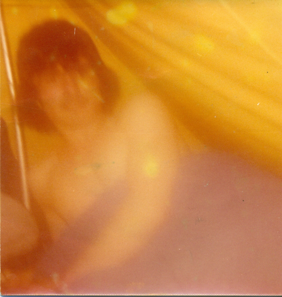 scan0011.jpg